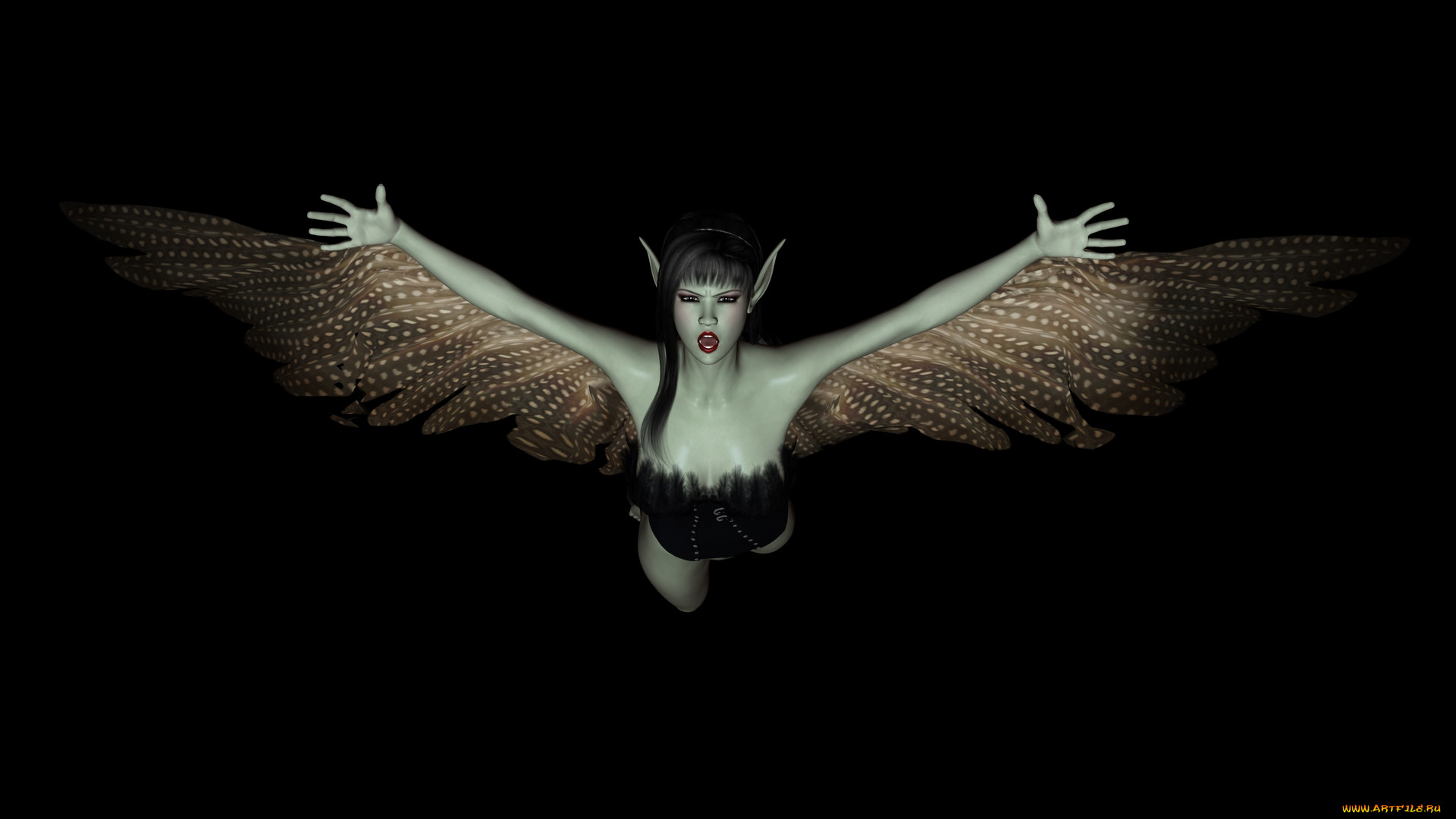 3 , elves , , , , 